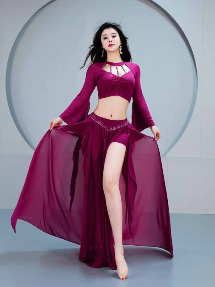 2025 New Style Belly dance costumes For Ladies 5076